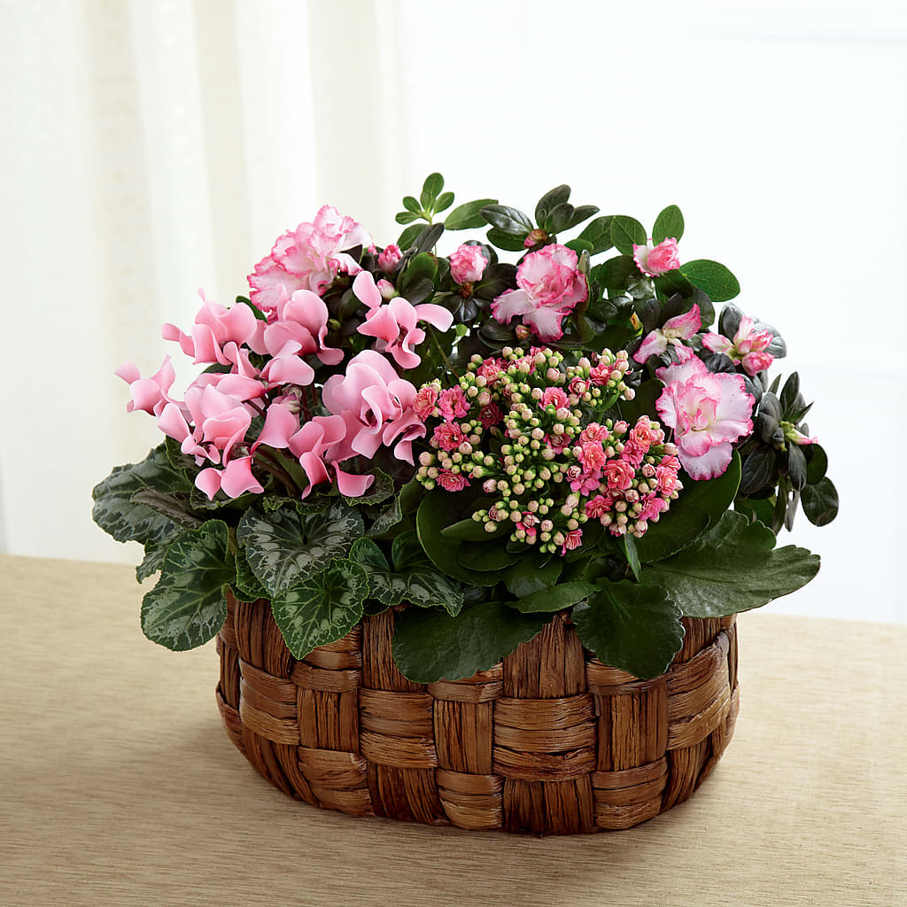 Pink Assortment – Blossom And Belle, Orlando FL