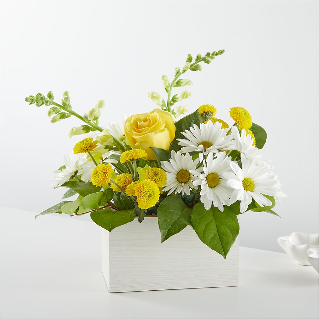 Sun Salutation Box Bouquet – Blossom And Belle, Orlando FL