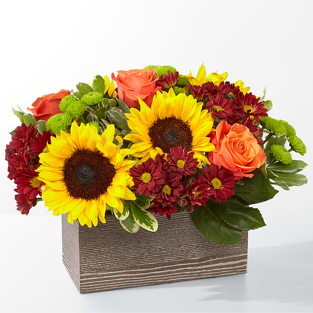 Happy Harvest Garden – Blossom And Belle, Orlando FL