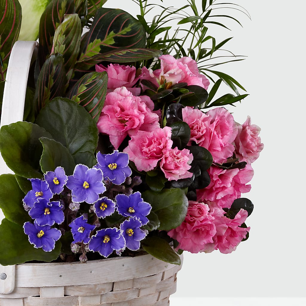 Peaceful Garden Planter – Blossom And Belle, Orlando FL