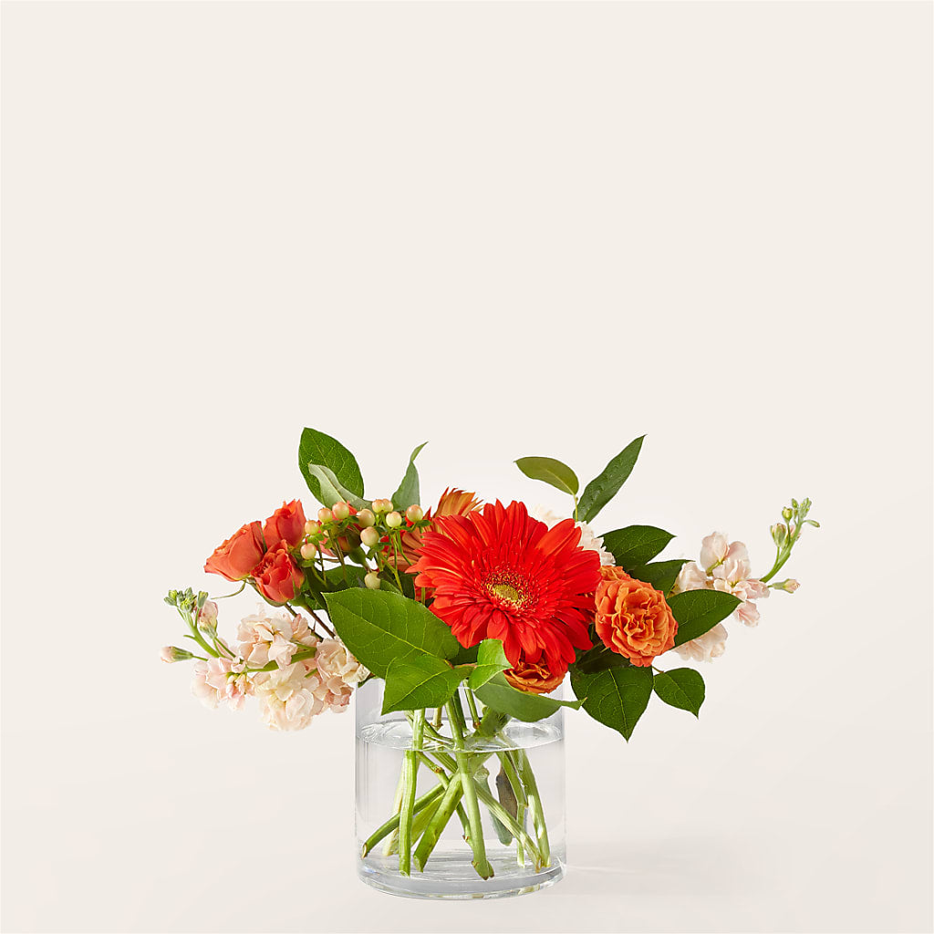 Paloma Please Bouquet – Blossom And Belle, Orlando FL