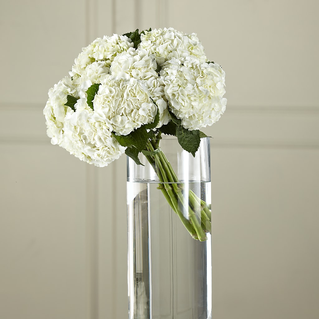 White Hydrangea Hand-Tied Bouquet – Blossom And Belle, Orlando FL