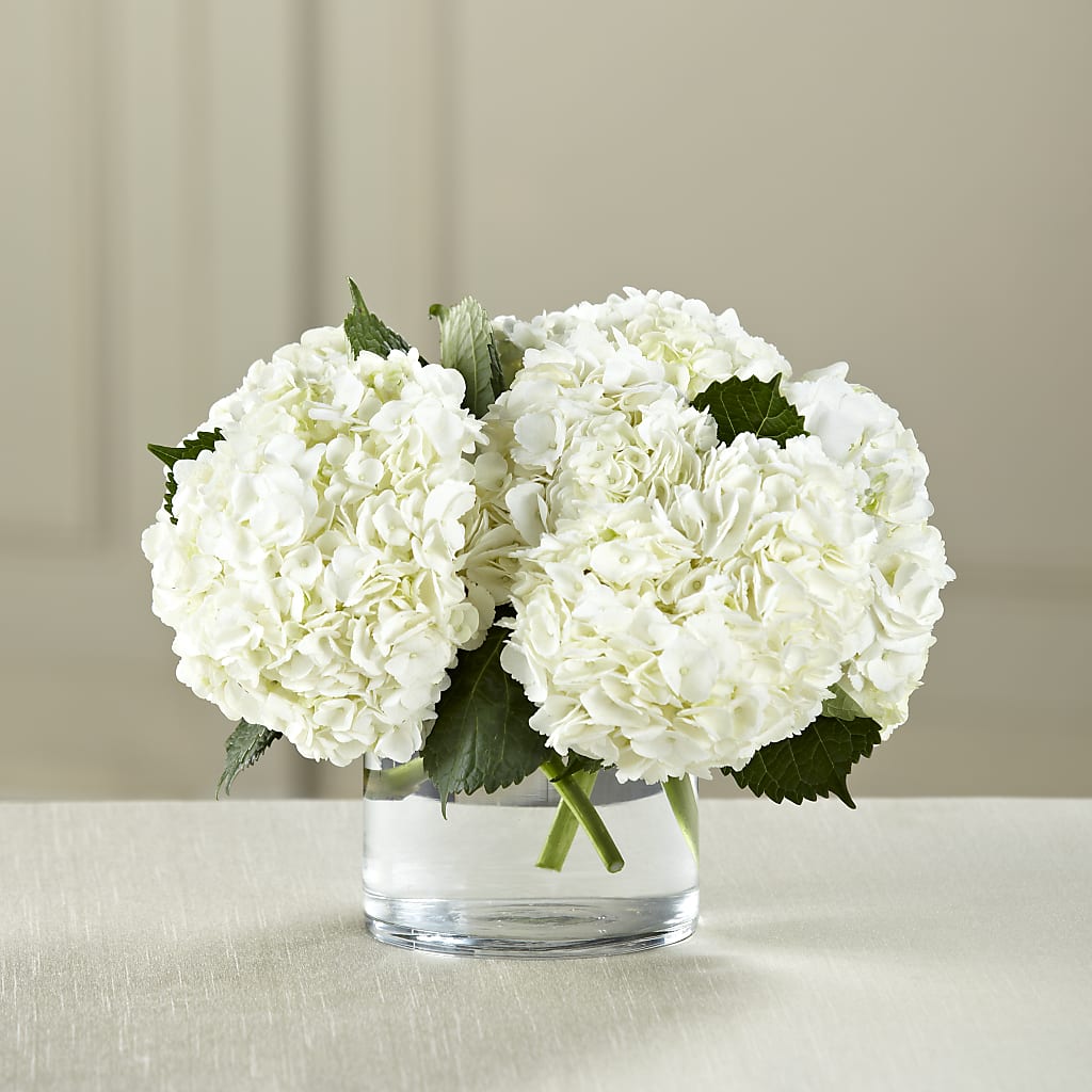 White Hydrangea Bouquet – Blossom And Belle, Orlando FL