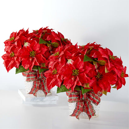 Happiest Holidays Poinsettia Bundle –  Blossom And Belle, Orlando FL