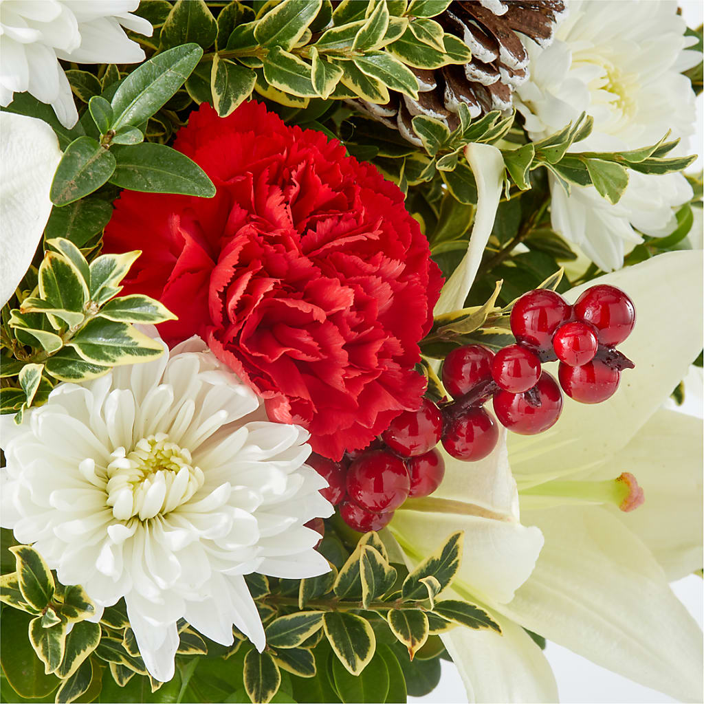 Festive Moments Tree –  Blossom And Belle, Orlando FL