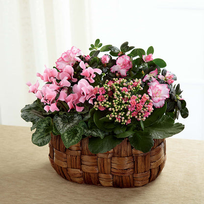Pink Assortment –  Blossom And Belle, Orlando FL