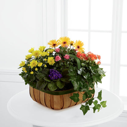 Gentle Blossoms Basket –  Blossom And Belle, Orlando FL