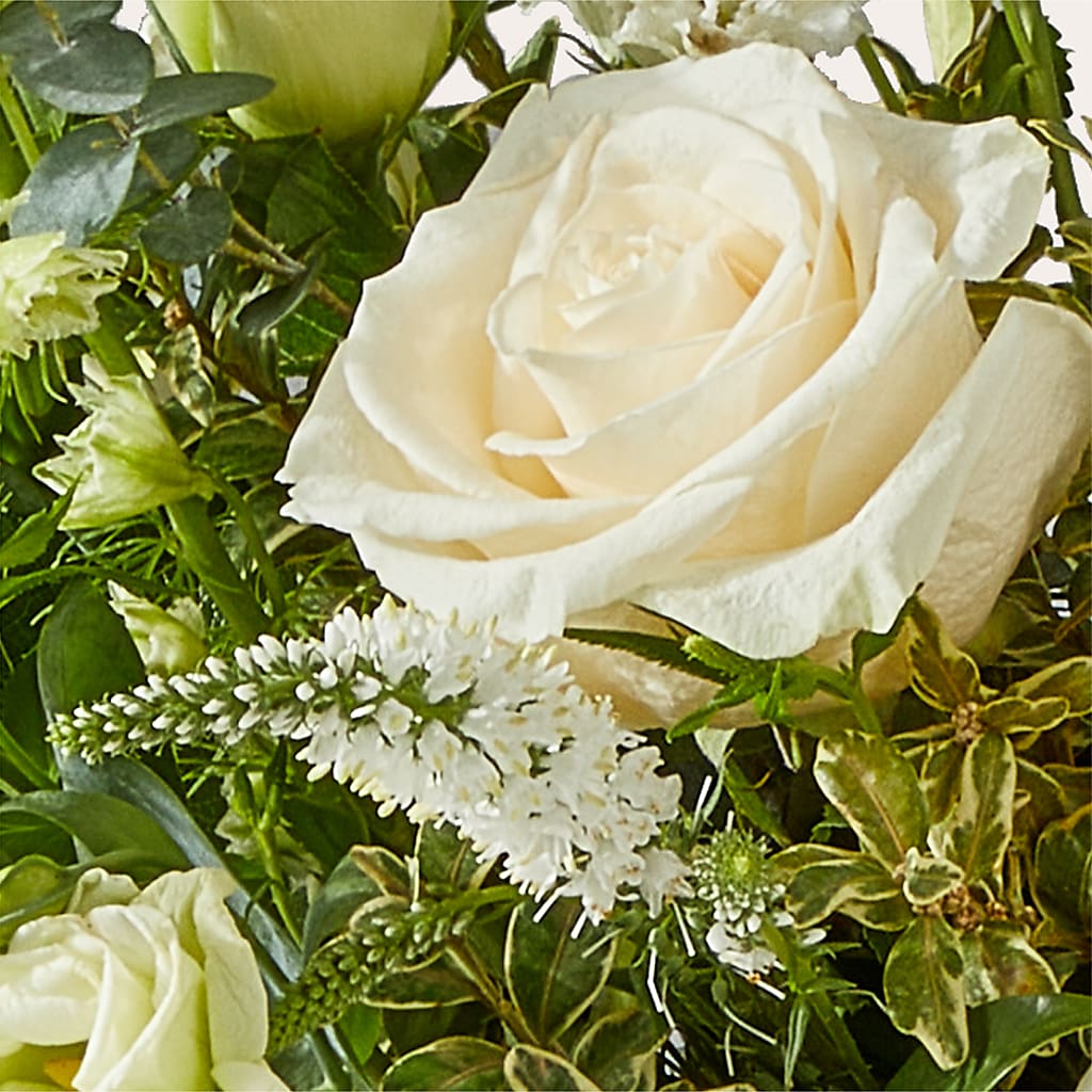 Cashmere Bouquet –  Blossom And Belle, Orlando FL