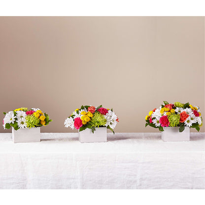 Sorbet Bouquet –  Blossom And Belle, Orlando FL