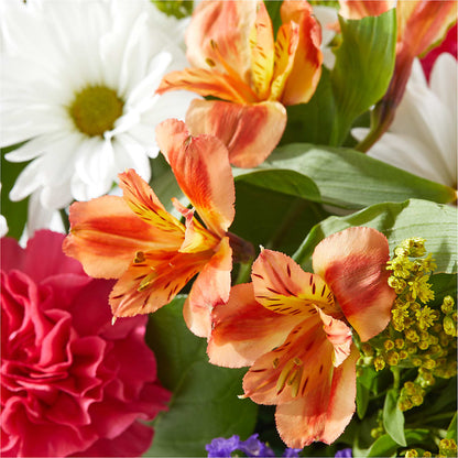Oopsie Daisy Box Bouquet –  Blossom And Belle, Orlando FL