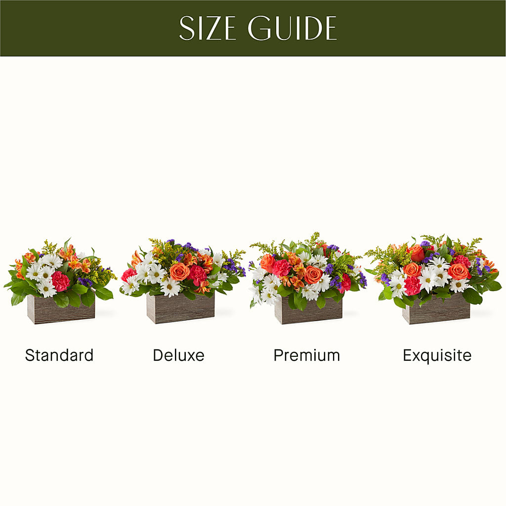 Oopsie Daisy Box Bouquet –  Blossom And Belle, Orlando FL