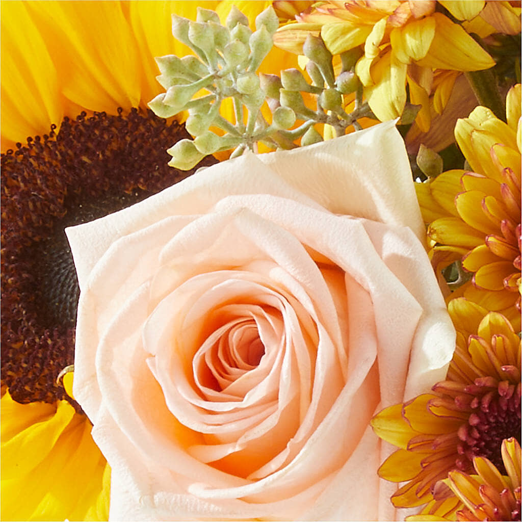 Pumpkin to Talk About Bouquet –  Blossom And Belle, Orlando FL