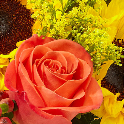 Pick of the Patch Pumpkin Bouquet –  Blossom And Belle, Orlando FL