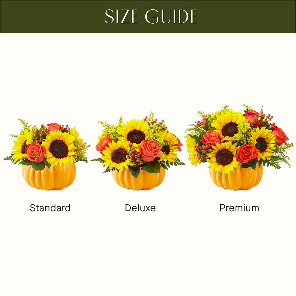 Pick of the Patch Pumpkin Bouquet –  Blossom And Belle, Orlando FL