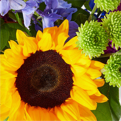 Catching Rays Bouquet –  Blossom And Belle, Orlando FL