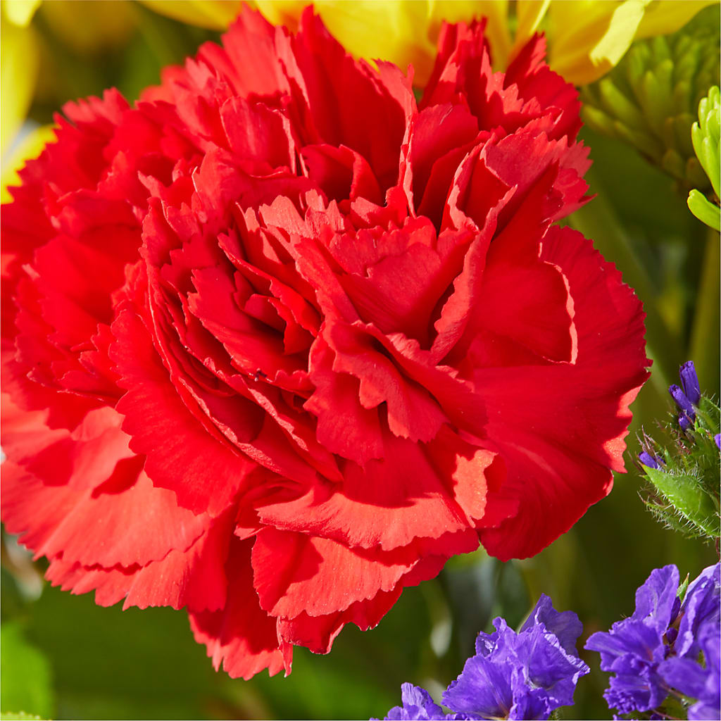 Brighter Days Bouquet –  Blossom And Belle, Orlando FL
