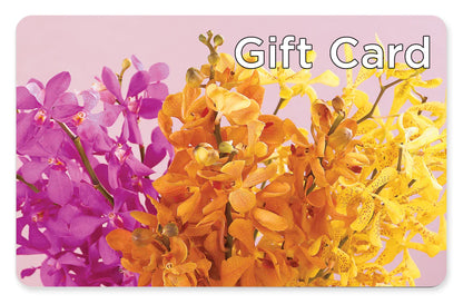 Gift Card –  Blossom And Belle, Orlando FL