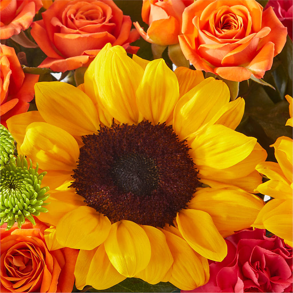 Sun-drenched Blooms Box Bouquet –  Blossom And Belle, Orlando FL