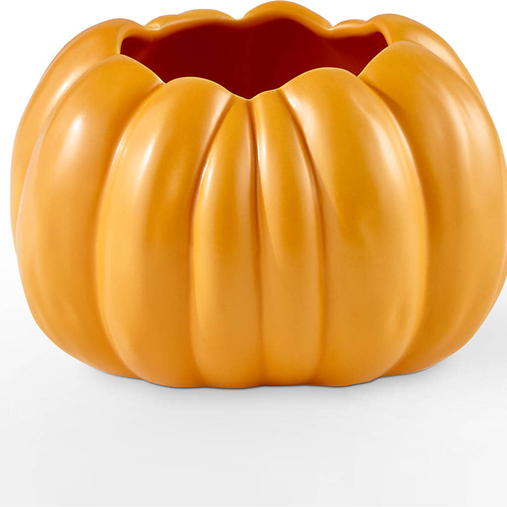 Golden Gourd Pumpkin Bouquet –  Blossom And Belle, Orlando FL