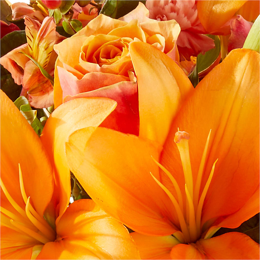 Afternoon Light Bouquet –  Blossom And Belle, Orlando FL