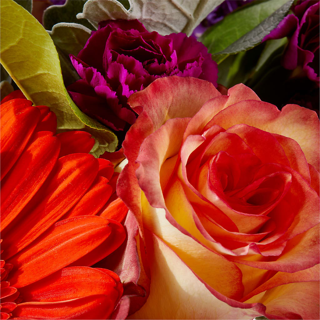 Sangria Bouquet –  Blossom And Belle, Orlando FL