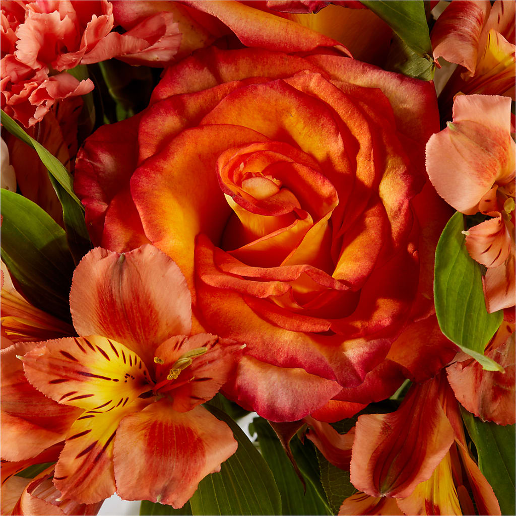 Apricot Glow Bouquet –  Blossom And Belle, Orlando FL