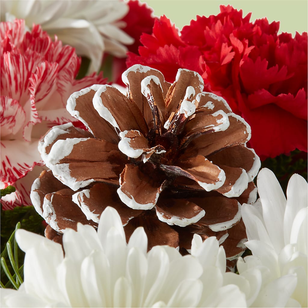 Candy Cane Lane Bouquet –  Blossom And Belle, Orlando FL