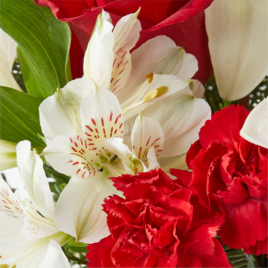 Holiday Season Bouquet –  Blossom And Belle, Orlando FL