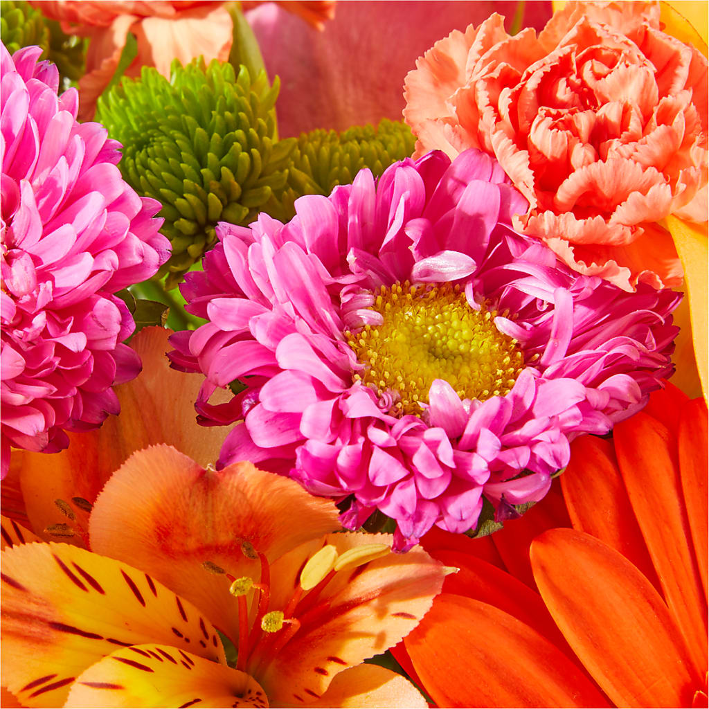 Soiree Bouquet –  Blossom And Belle, Orlando FL