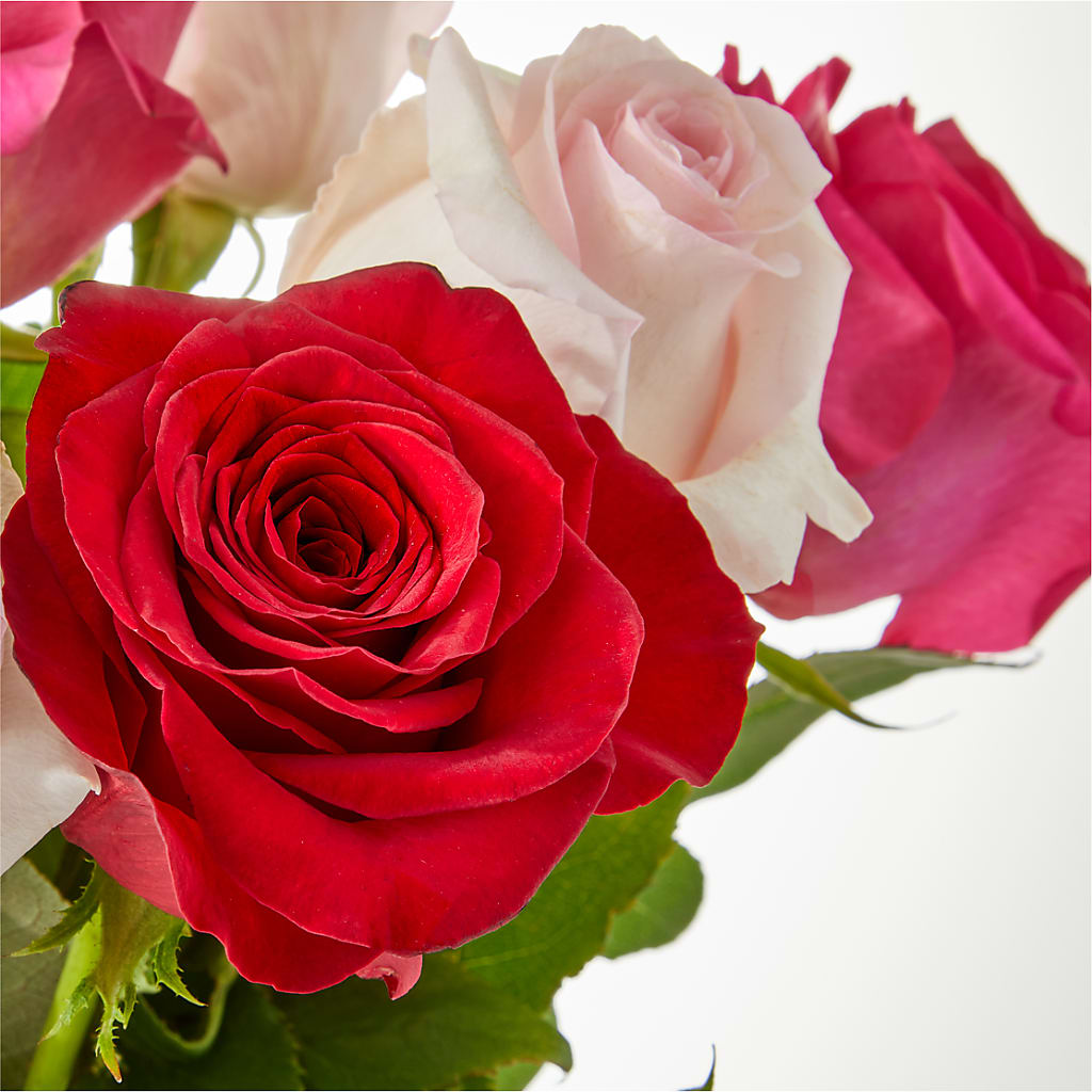 Charming Rose Bouquet –  Blossom And Belle, Orlando FL