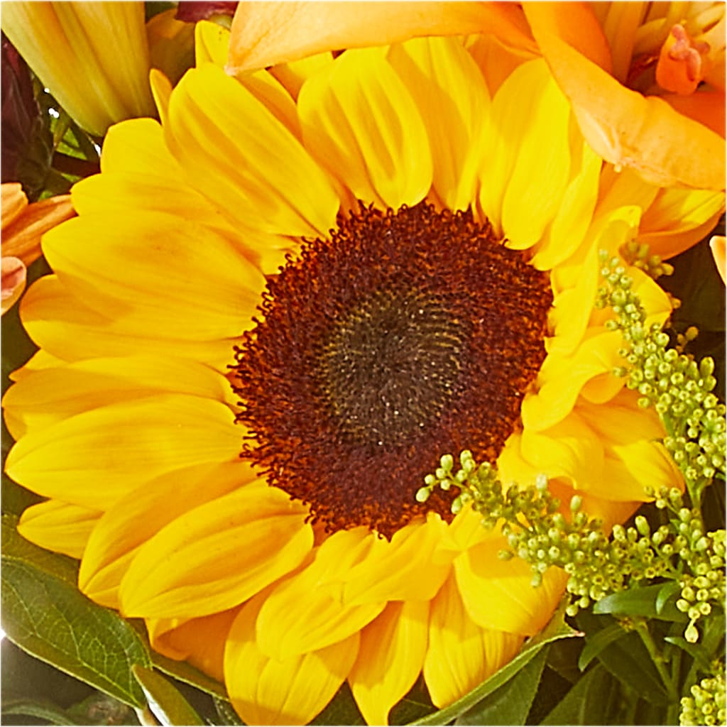 Seasons Change Bouquet –  Blossom And Belle, Orlando FL