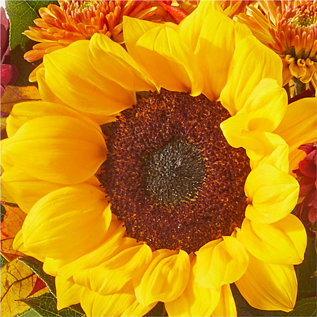 Sunny Side Bouquet –  Blossom And Belle, Orlando FL