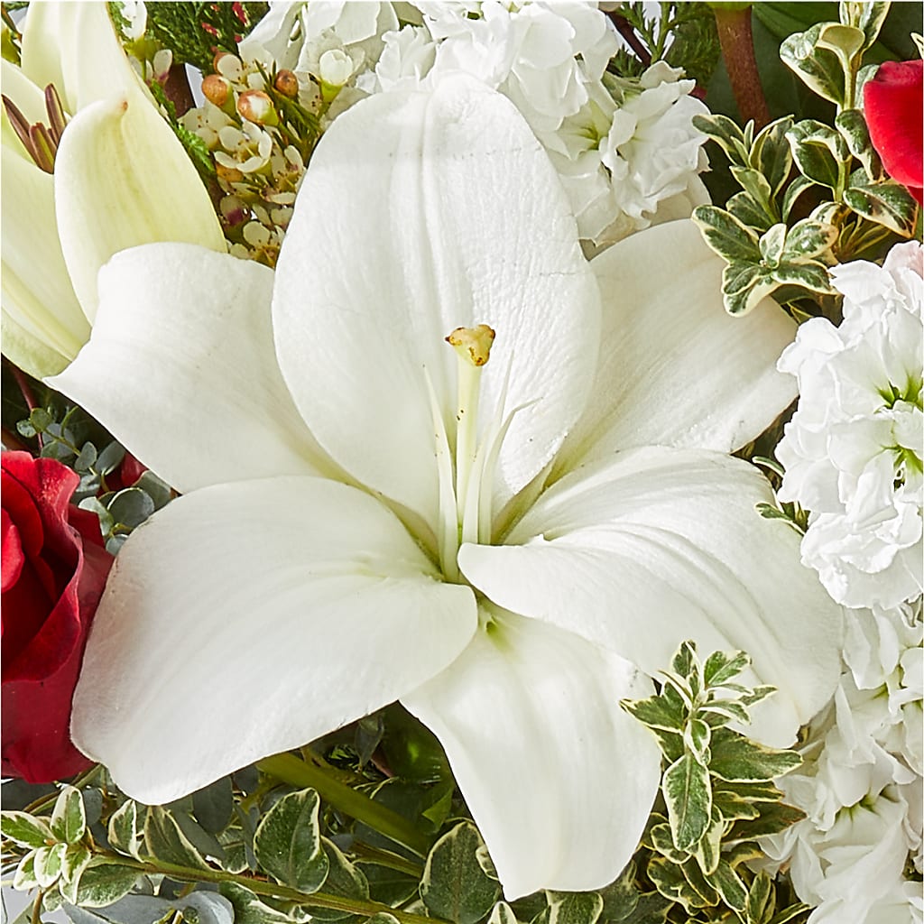 Twinkle Lights Bouquet –  Blossom And Belle, Orlando FL