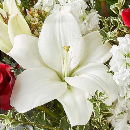 Twinkle Lights Bouquet –  Blossom And Belle, Orlando FL