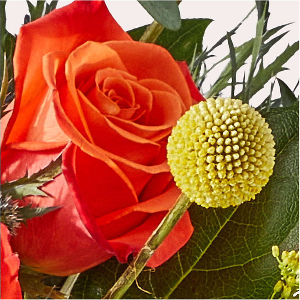 Disco Bouquet –  Blossom And Belle, Orlando FL