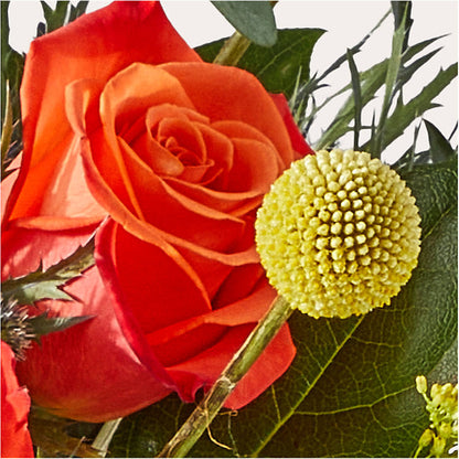 Disco Bouquet –  Blossom And Belle, Orlando FL
