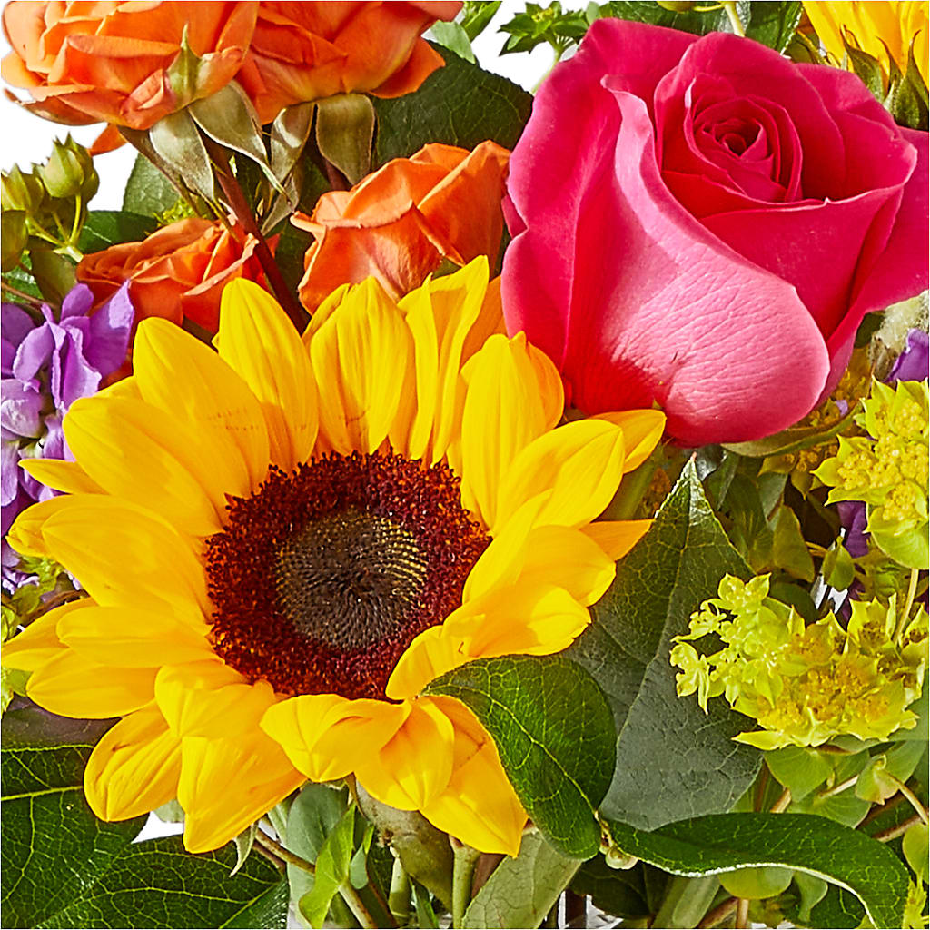Vibrant Greetings Bouquet –  Blossom And Belle, Orlando FL