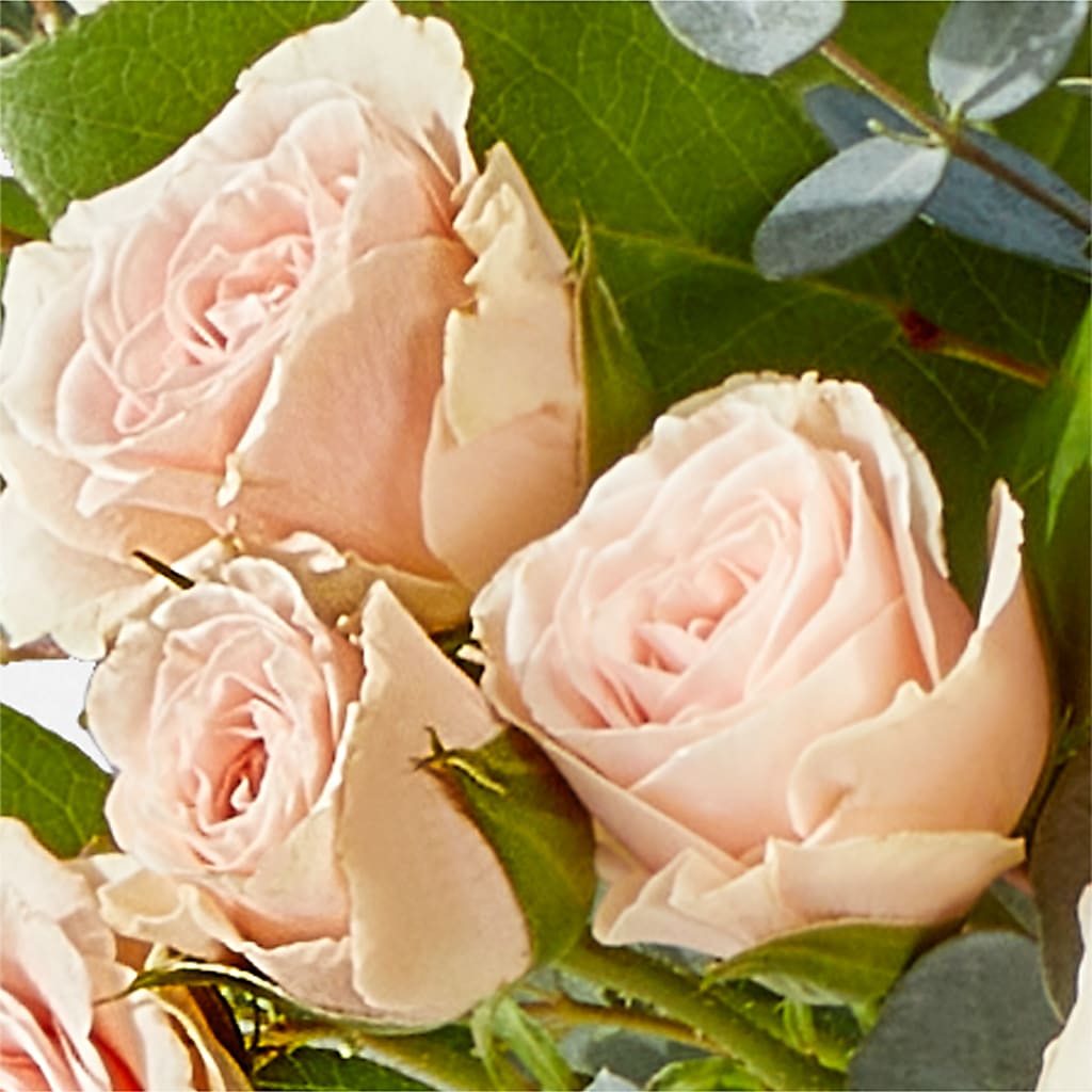 Inspired Bouquet –  Blossom And Belle, Orlando FL