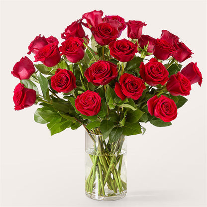 The One Red Rose Bouquet –  Blossom And Belle, Orlando FL