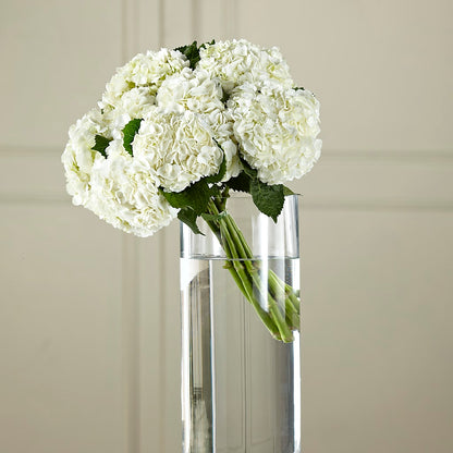 White Hydrangea Hand-Tied Bouquet –  Blossom And Belle, Orlando FL
